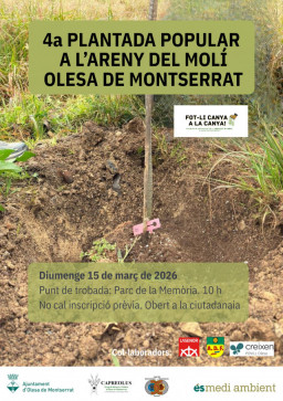 Olesa de Montserrat organiza una plantada popular para recuperar el bosque de ribera del Llobregat