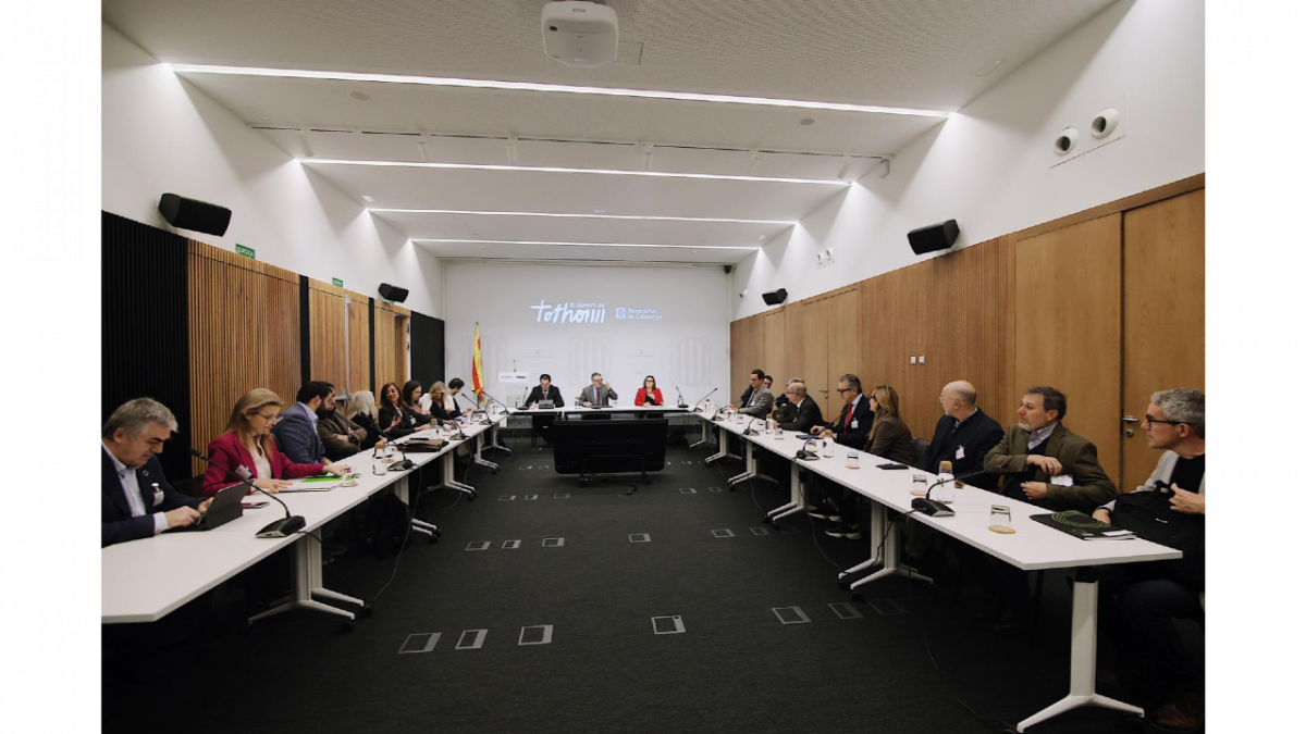 WhatsApp Image 2026 03 12 at 13.15.42