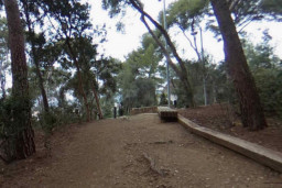 Talan árboles en el Parc del Mil·lenari de Sant Just tras la caída de varios pinos por el viento