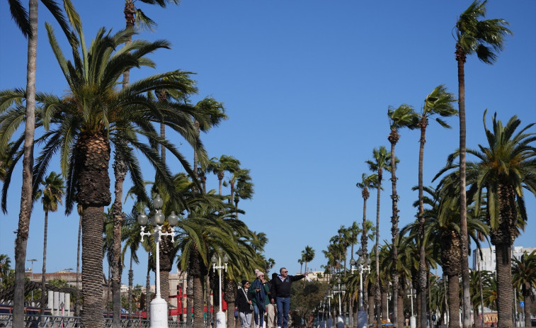 Activada l'alerta Ventcat per previsió de fortes ratxes el diumenge al Ripollès