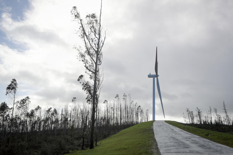 L'AEMET anuncia un diumenge amb temporal de vent i onatge al Mediterrani i neu als Pirineus