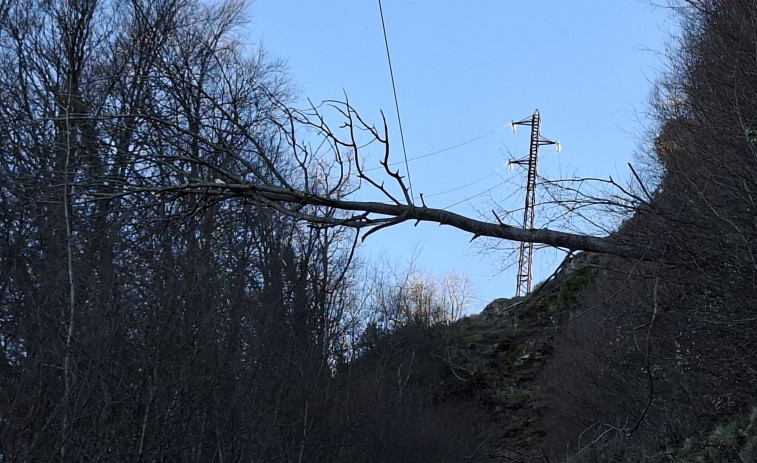5.000 clients d'Endesa de municipis de Girona sense llum per efecte del vent