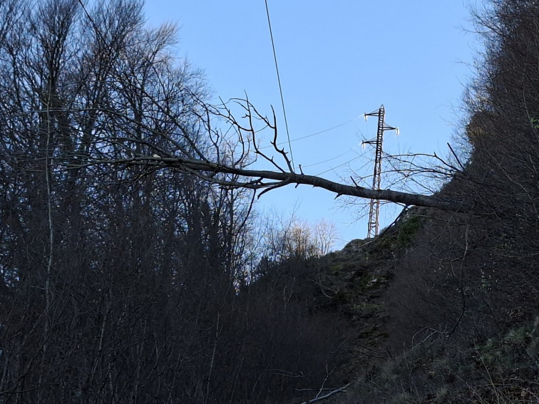 5.000 clients d'Endesa de municipis de Girona sense llum per efecte del vent