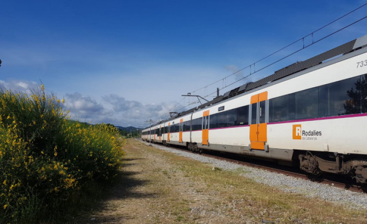 Restablerta la R11 entre Girona i Figueres després del tall per arbres sobre la via