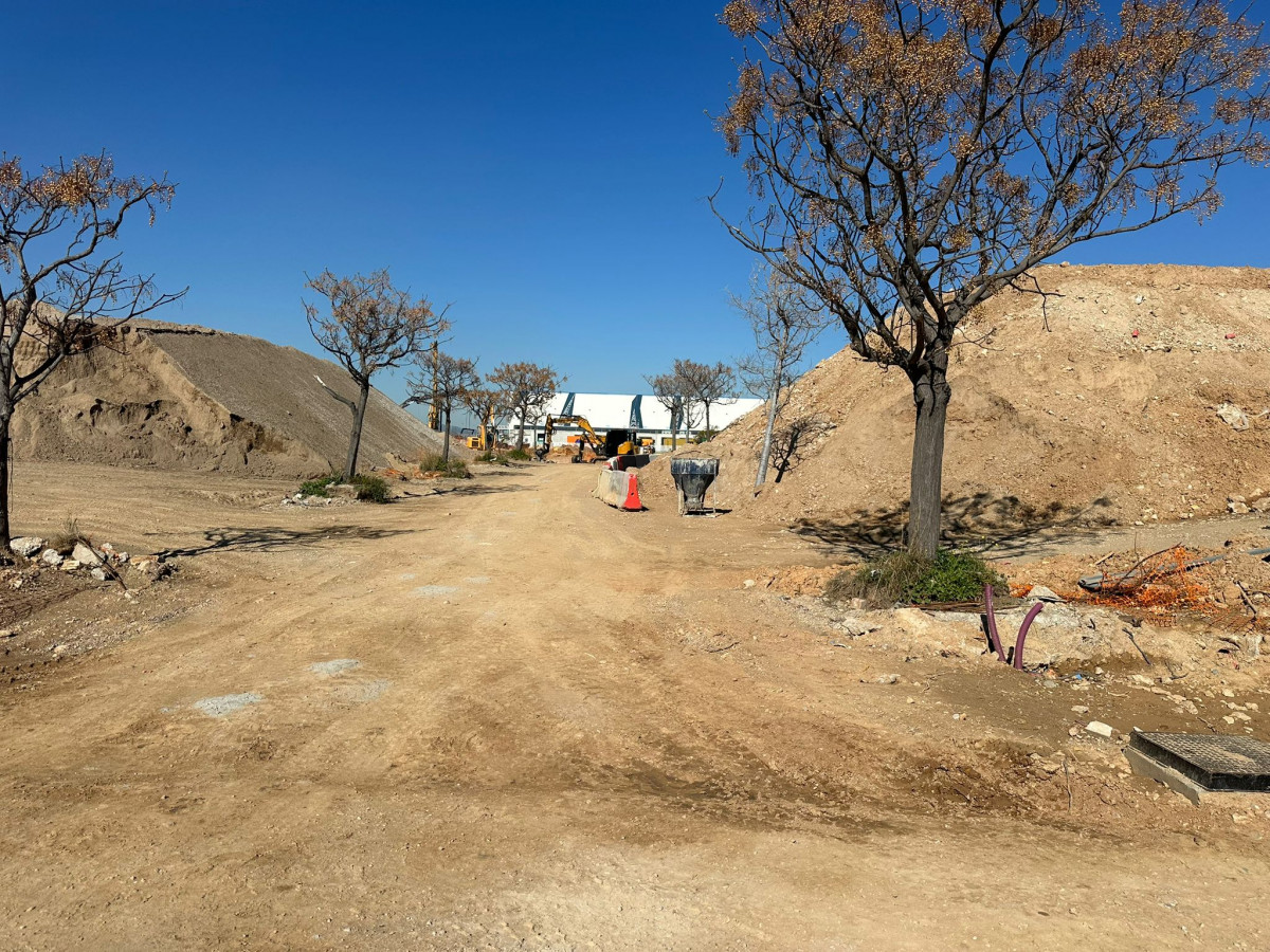 WhatsApp Image 2026 03 17 at 13.22.19