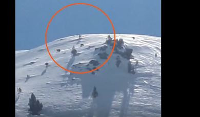 VÍDEO. Dos esquiadors graven a una óssa bruna amb les seves crias sobre la neu d'una estació d'esquí del Pirineu