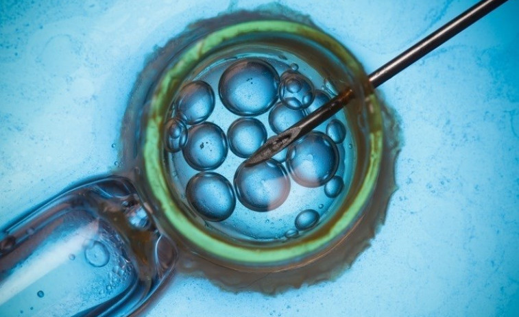 Detecten a Catalunya el primer cas mundial de malaltia genètica transmesa per donant de semen