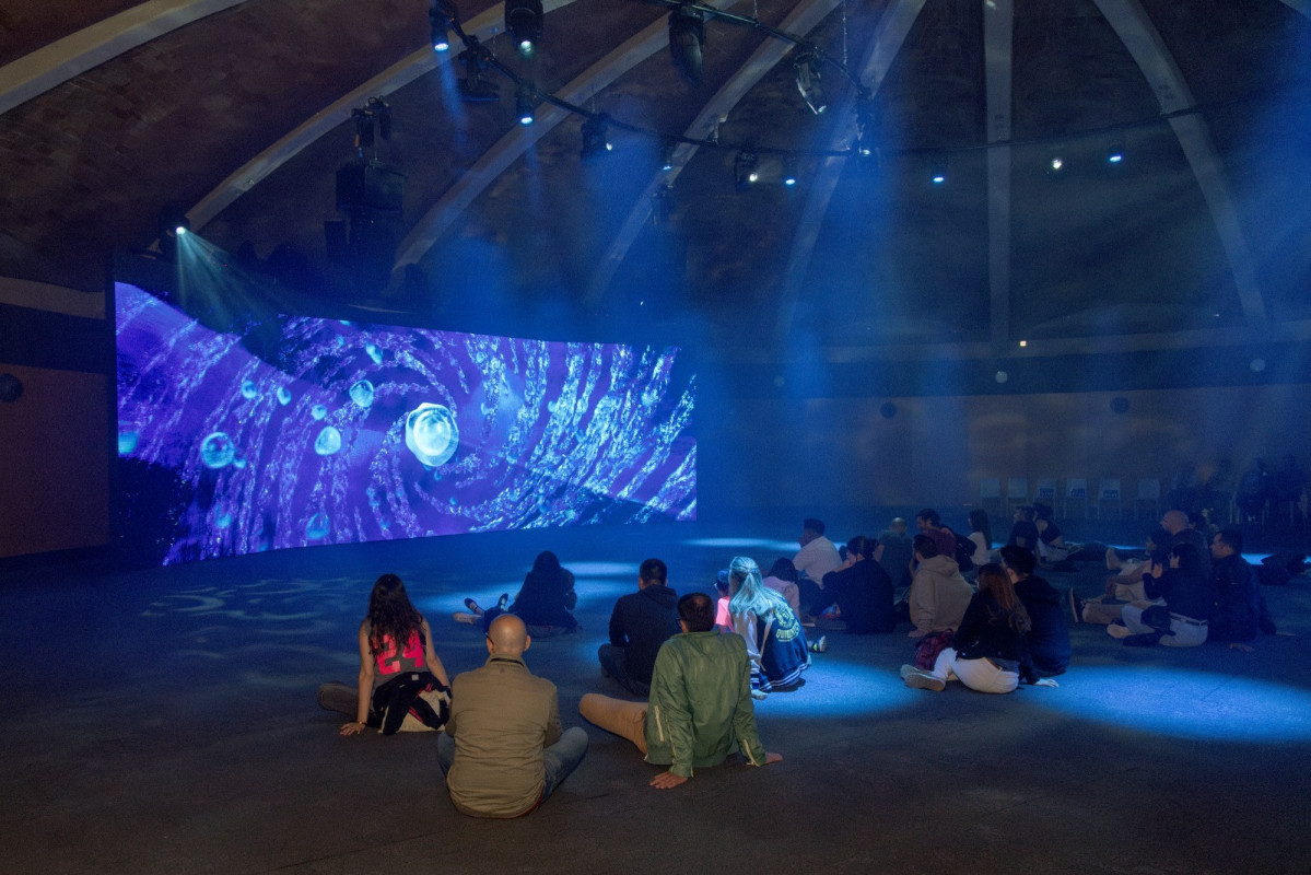 WhatsApp Image 2026 03 19 at 17.13.06