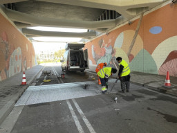 Sant Joan Despí se protege de la peste porcina con la instalación de 'barreras psicológicas' para jabalíes