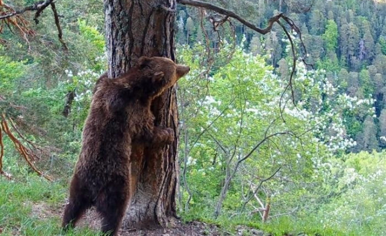 Catalunya, territori d'ossos: concentra la meitat de la població, però preocupen els naixements