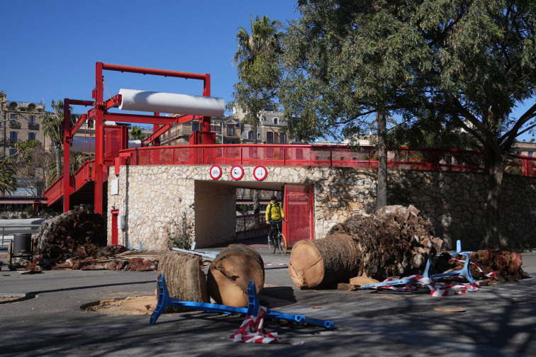 El temporal de vent a Catalunya genera 1.196 trucades al 112 fins a les 14 h d'aquest dilluns
