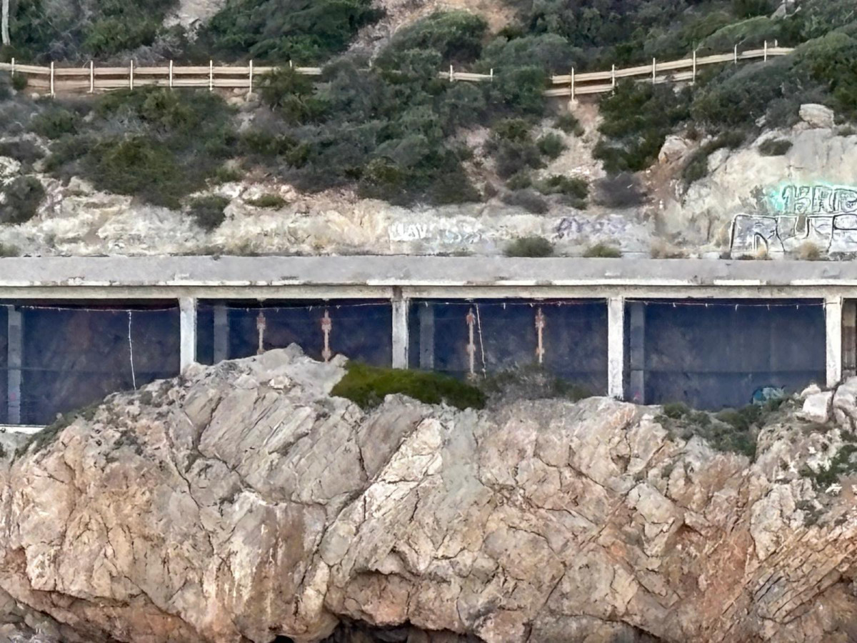 WhatsApp Image 2026 03 31 at 08.12.46 (1)