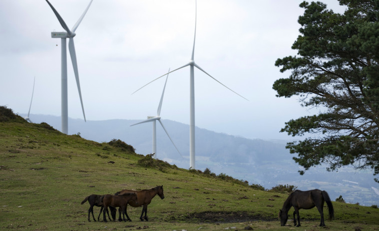 Iberdrola i Gestamp s'alien per a protegir la indústria amb energia neta i preus estables