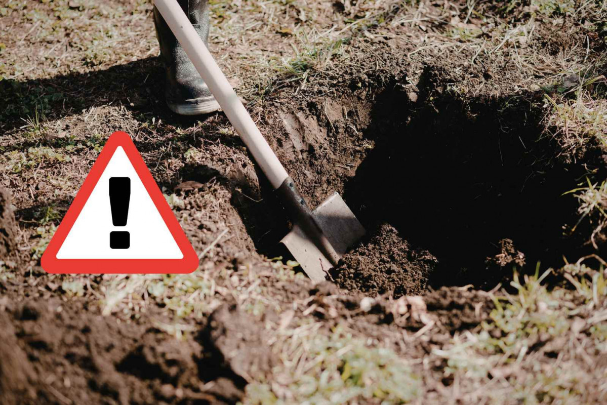 Cavar, alerta   CANVA