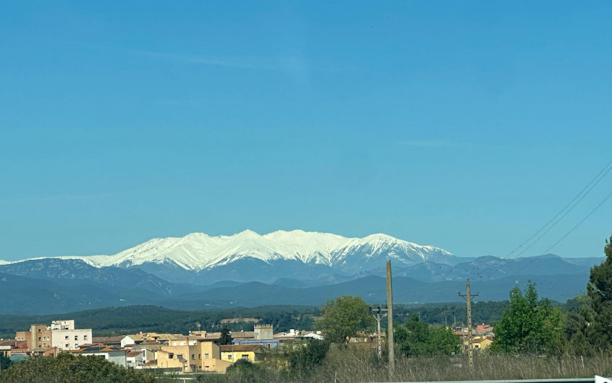 WhatsApp Image 2026 04 05 at 12.36.11