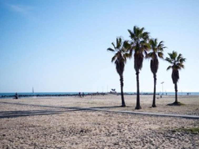 Els municipis del litoral de Catalunya sol·liciten 6.285 serveis per a les platges amb un augment del 6%