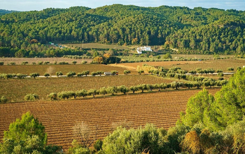 EuropaPress 4366273 diputacion barcelona alerta perdida suelo agrario provincia (1)