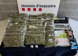Detenido en Martorell por tráfico de drogas con 12 kilos de marihuana