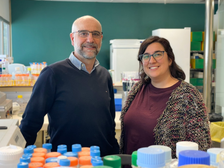 Aconsegueixen curar el VIH en un pacient amb un trasplantament: l'estudi de IrsiCaixa que sacseja la ciència