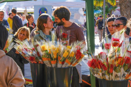 Sant Joan Despí inaugura la Primavera Cultural con actividades y el Sant Jordi como eje central