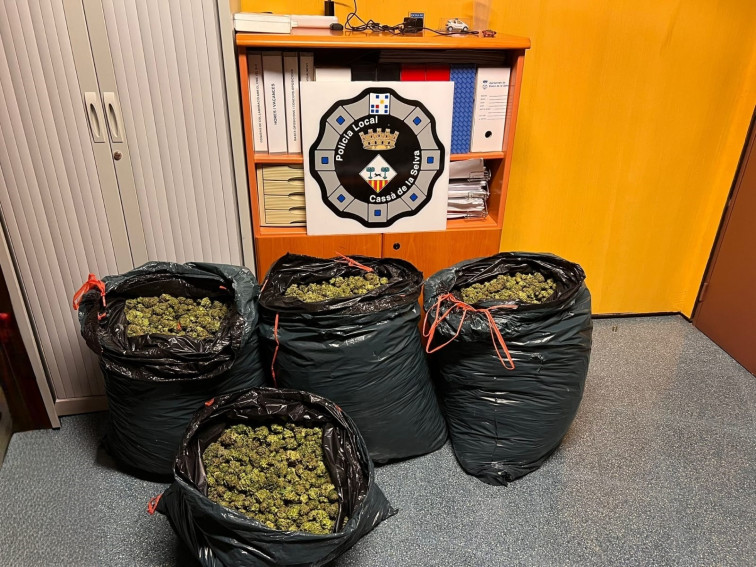 EuropaPress 7452987 policia local cassa selva decomisa 79 kilogramos cannabis
