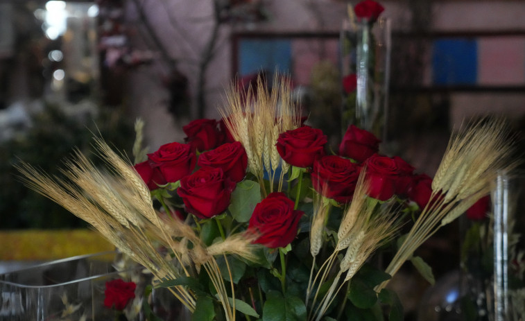 Sant Jordi a Girona: aquestes són les noves ubicacions de llibres i roses a la ciutat