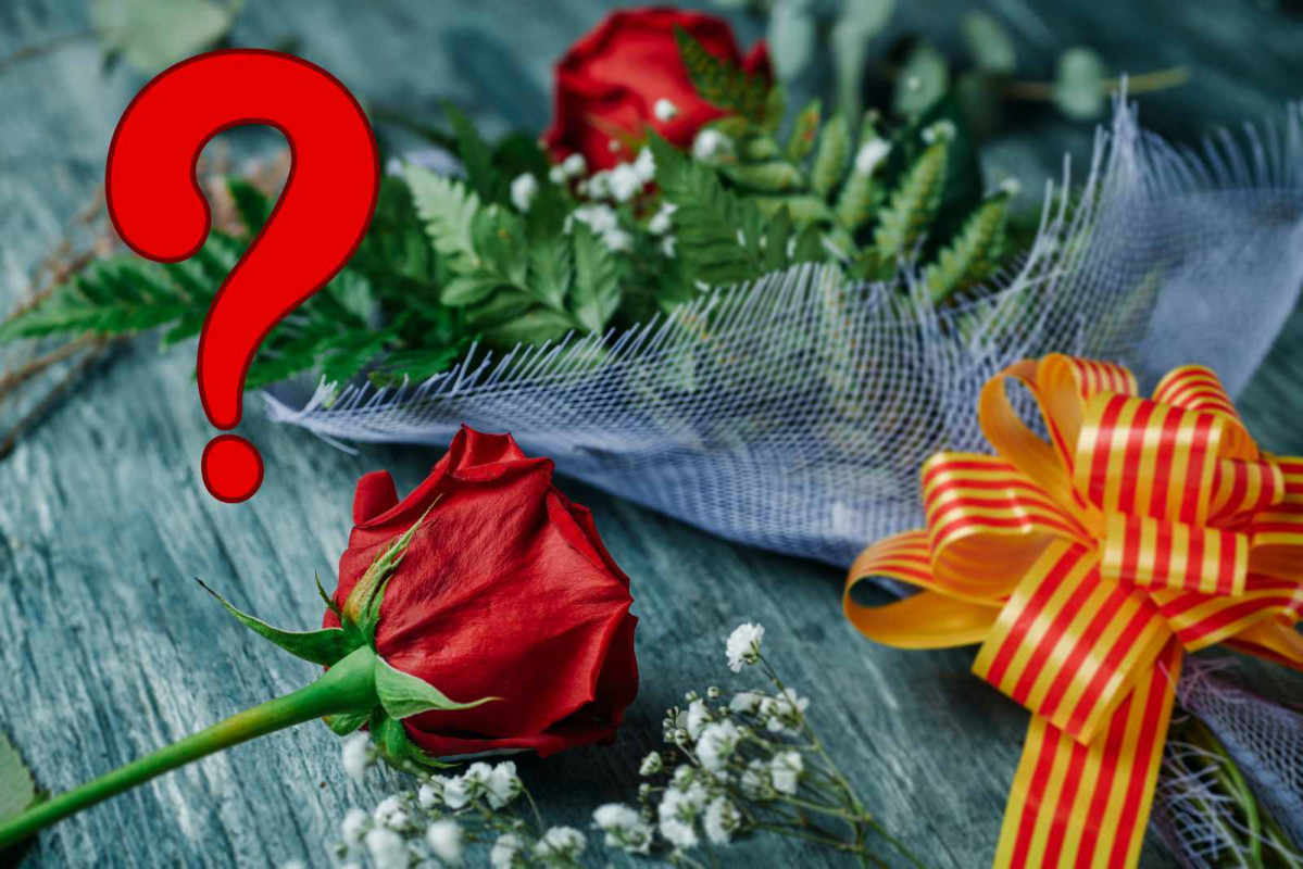 Rosa, Sant Jordi   CANVA