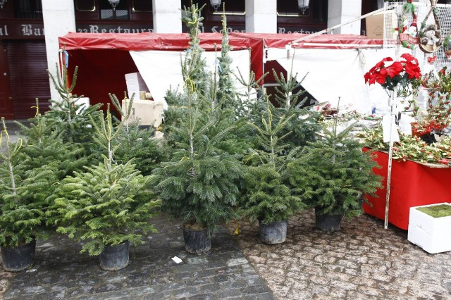 Navidad 1