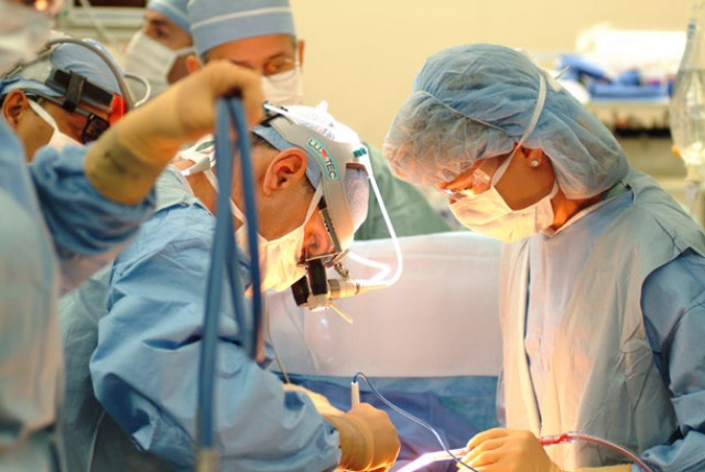 Transplanterostro 1