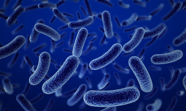 Celulas 1