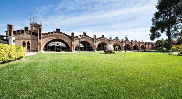 Codorniubodegacavaere 1