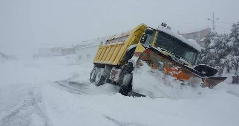 Temporal neu