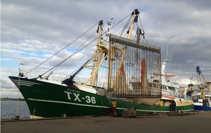 Pesca elu00e9ctrica europa