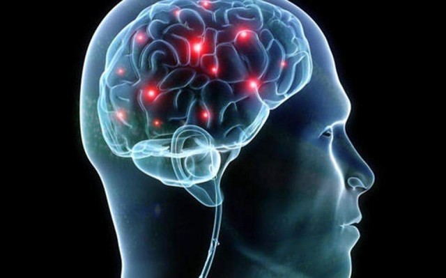 Cerebrohumano