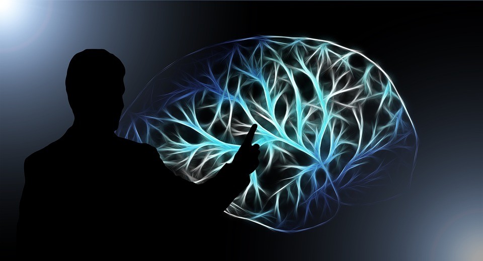 activitat cerebral
