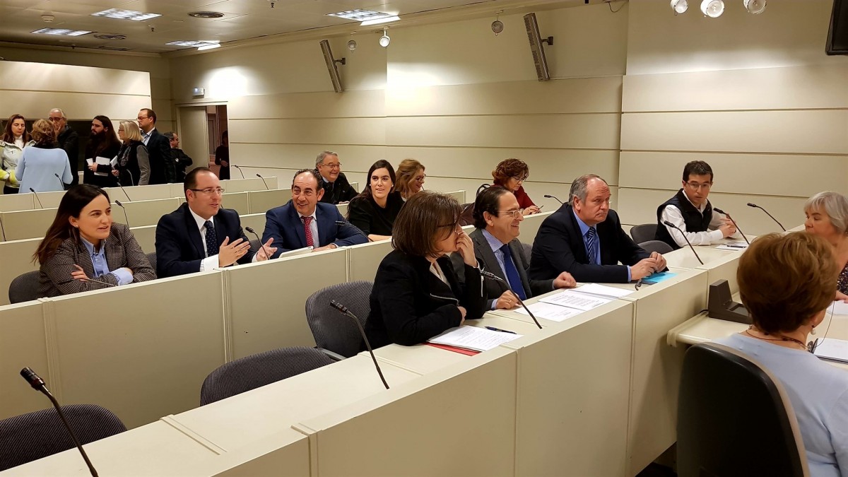 Comissió senat investigaciu00f3n partits ep