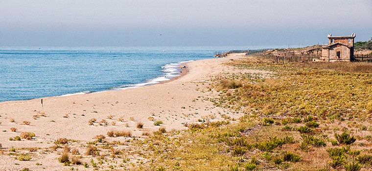 Platja la Ricarda ca Laraña del Prat
