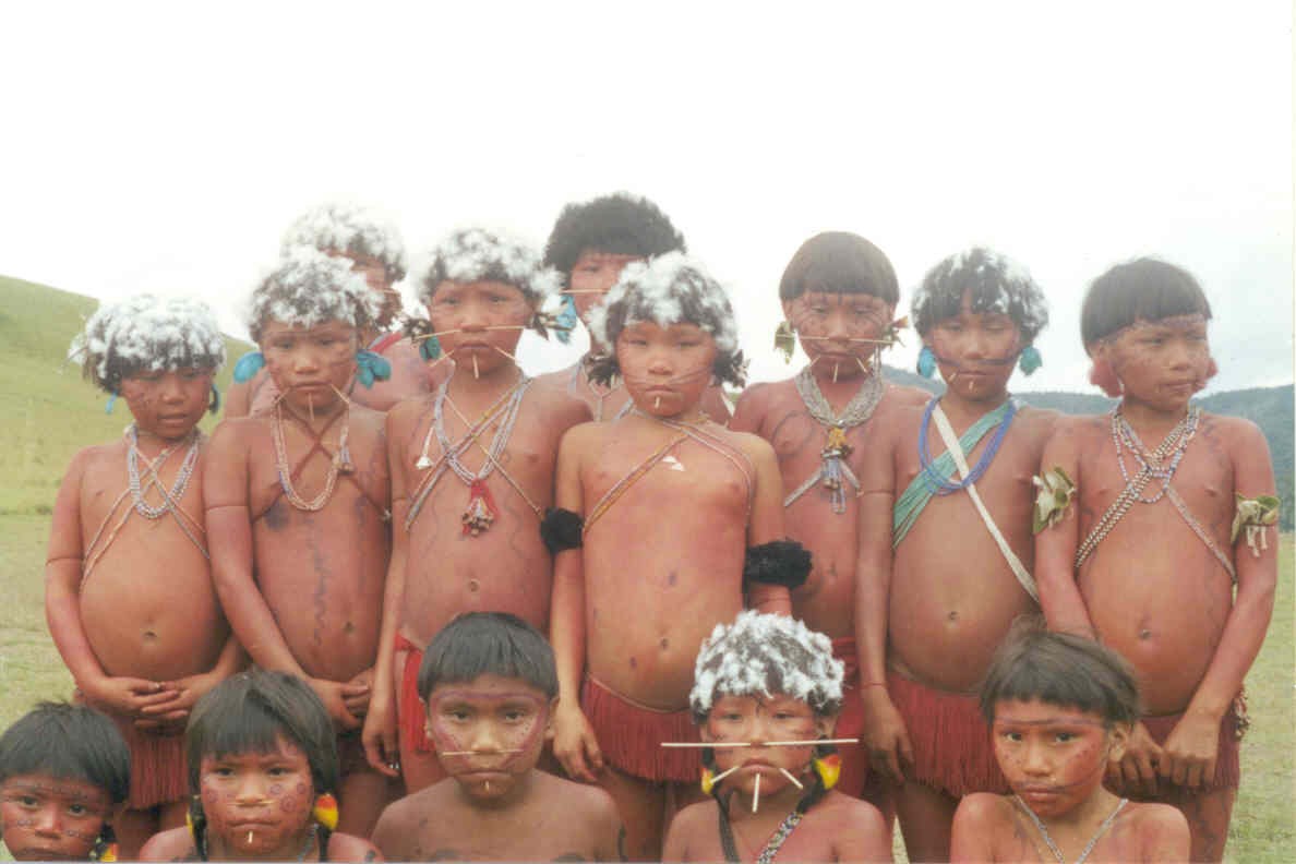 alt orinoco5