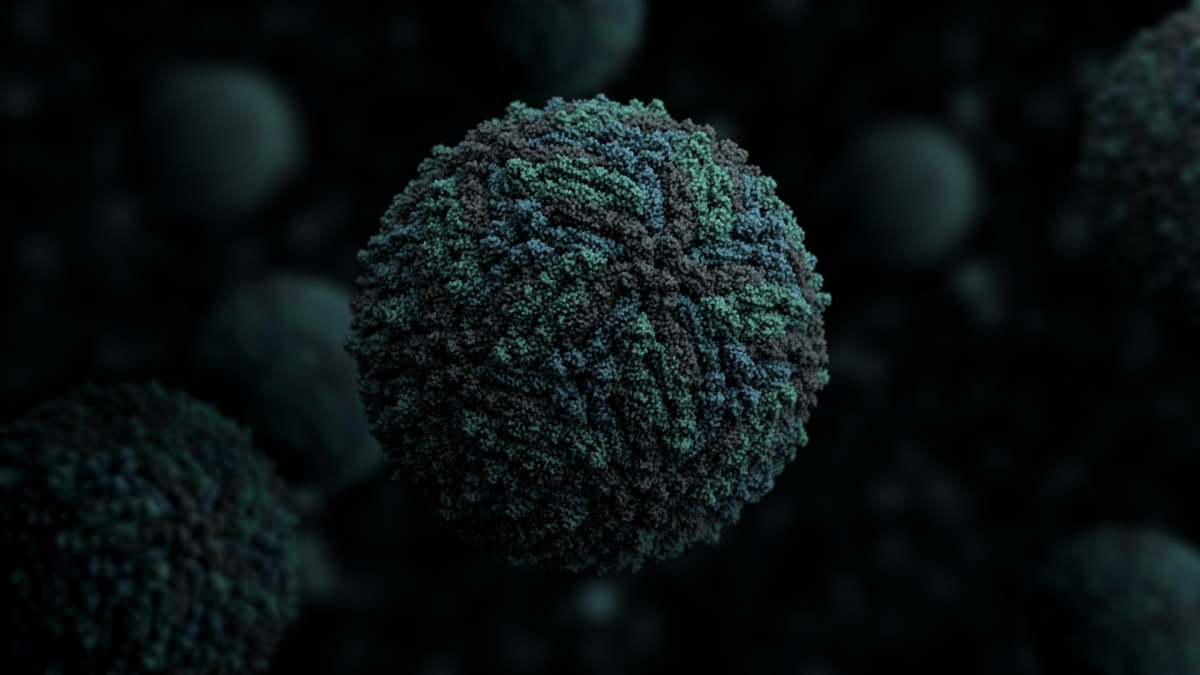 virus Zika