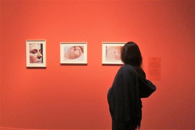 Art i emocions a CaixaForum