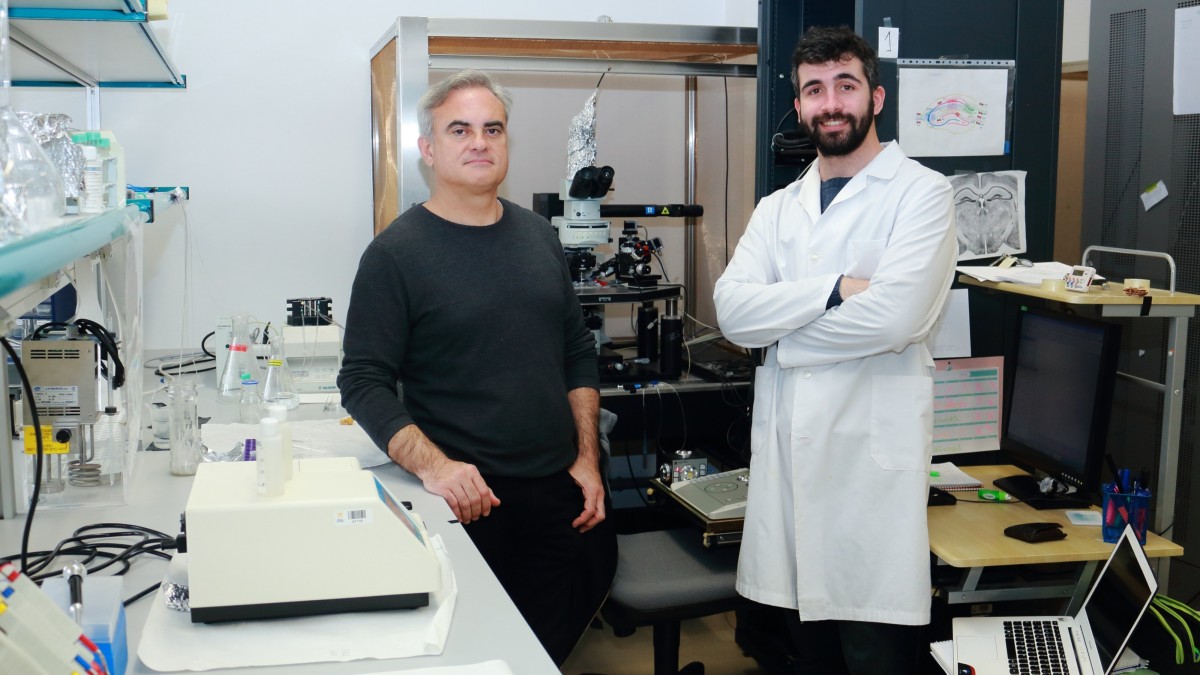 Investigadors su00edndrome de down
