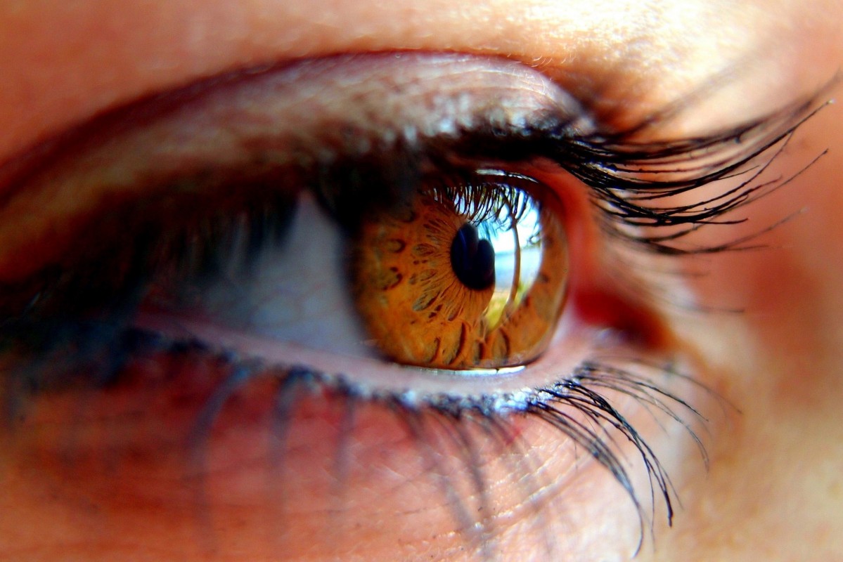 glaucoma ull