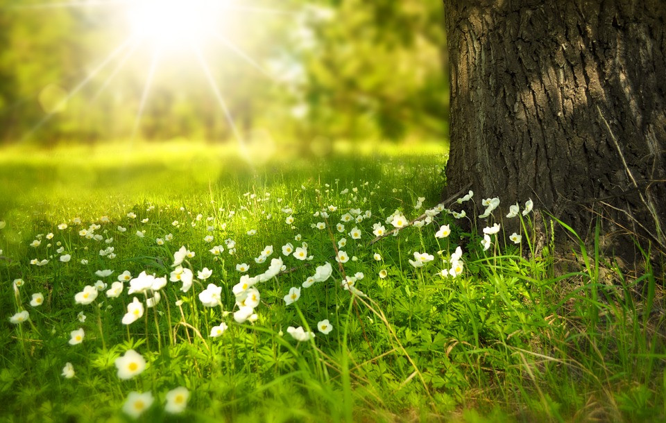 Arriba la primavera