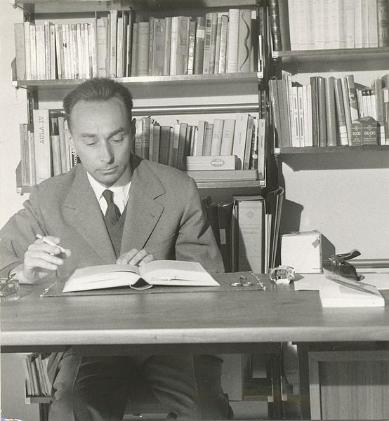 Primo levi imatge