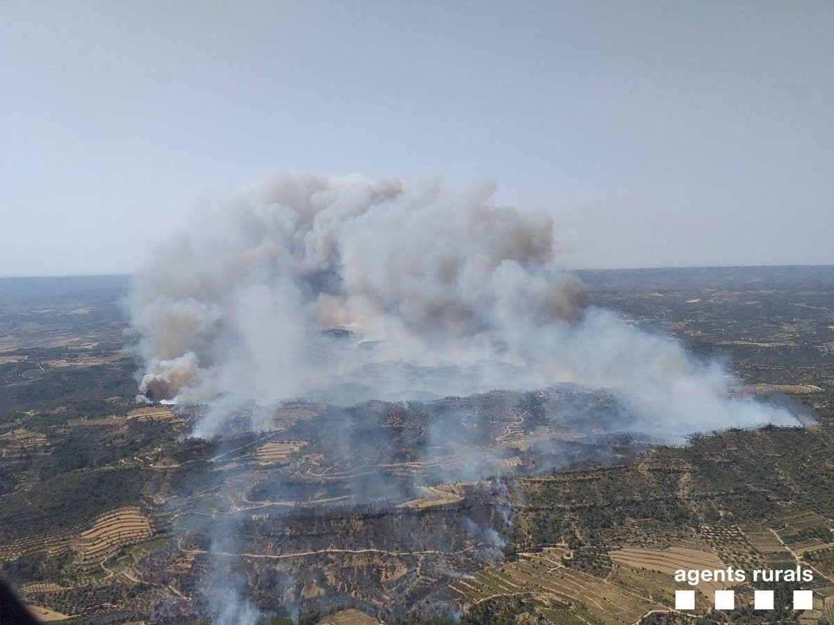 Incendi a Torre de l'Espanyol (Barcelona)