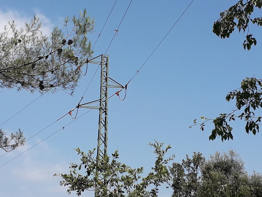 Endesa inverteix 2 milions