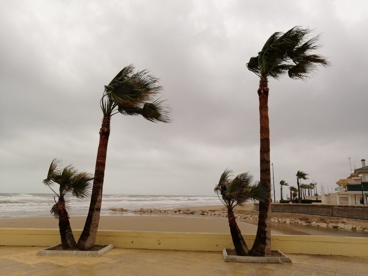 Vents al litoral imatge
