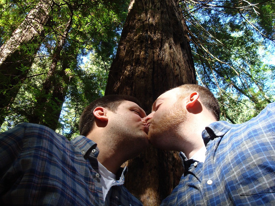 matrimoni homosexual