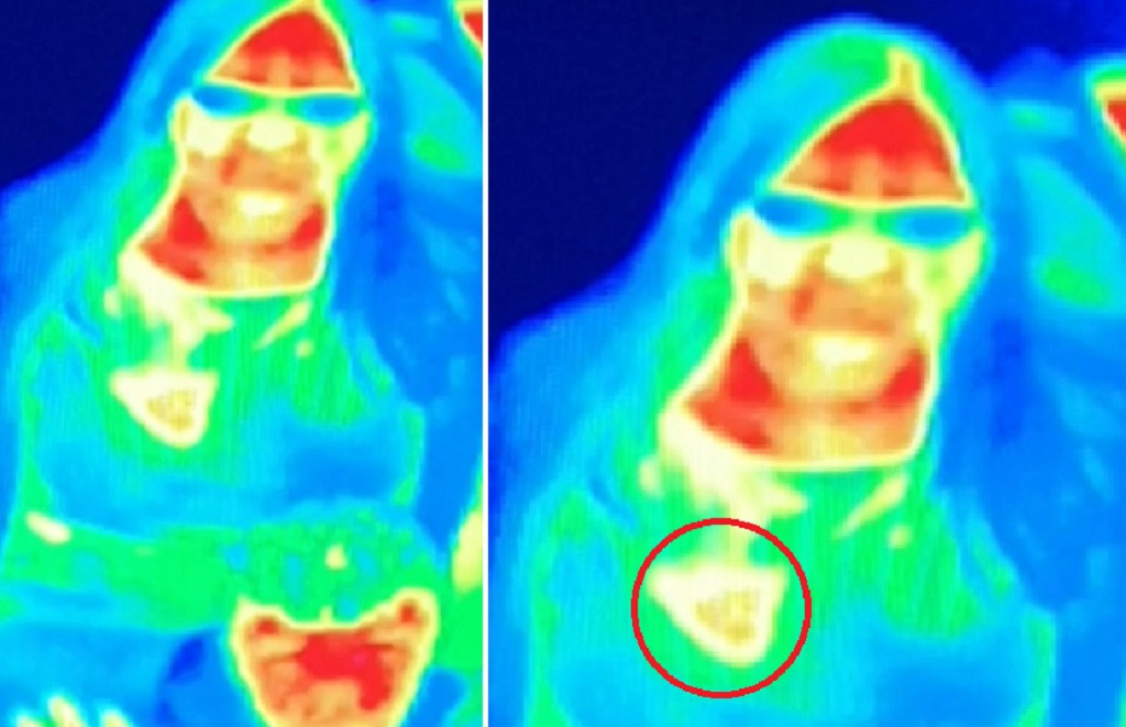 Detall de la fotografu00eda que Bal Gill tomu00f3 a la cu00e1mara tu00e9rmica