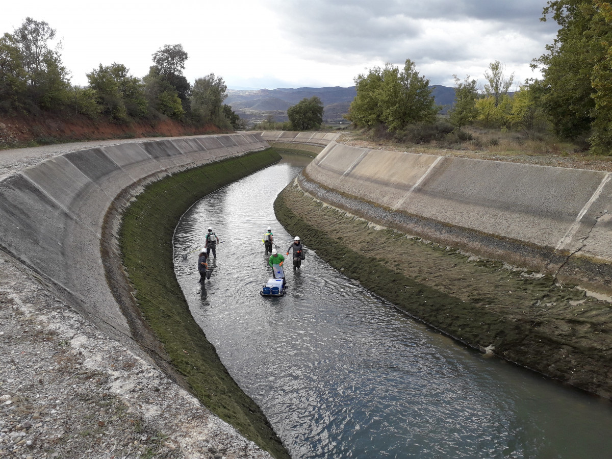 Rescat de truites al canal de Gavet